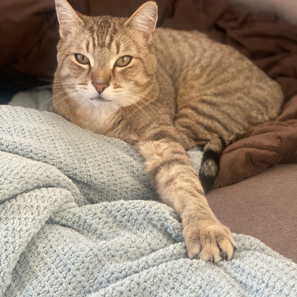 Meet your Posher, Meghan